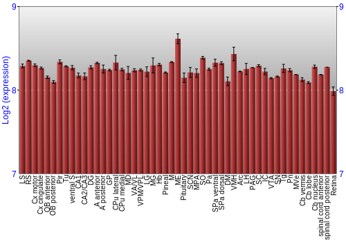 Expression graph