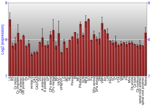 Expression graph