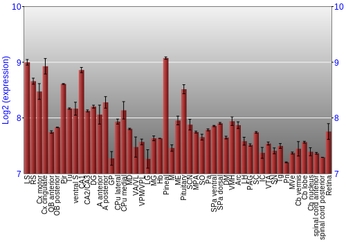 Expression graph