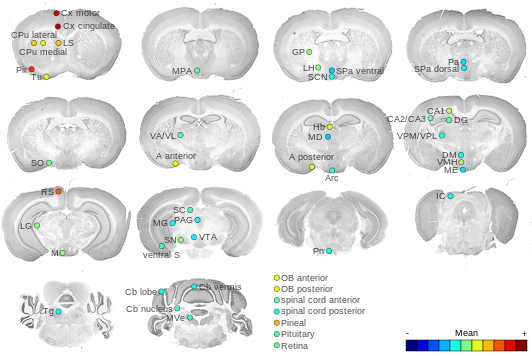 Expression map