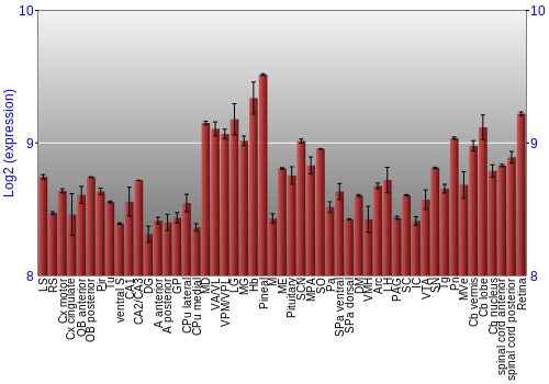 Expression graph