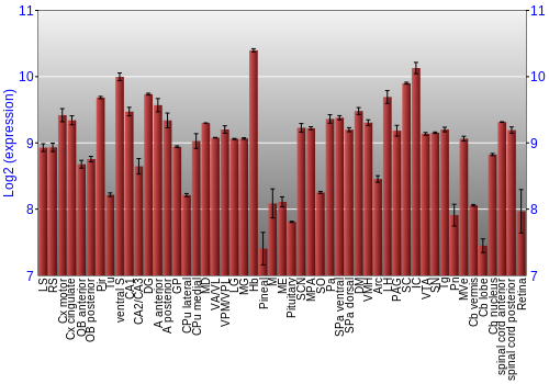 Expression graph