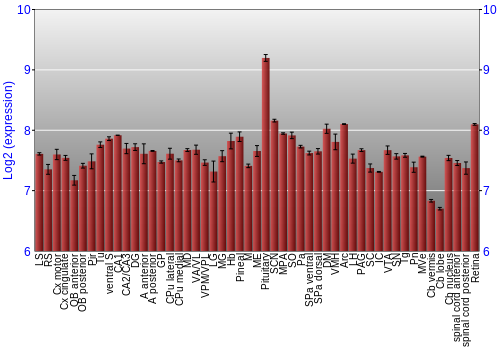 Expression graph