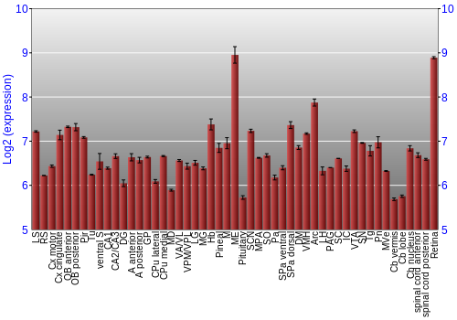 Expression graph