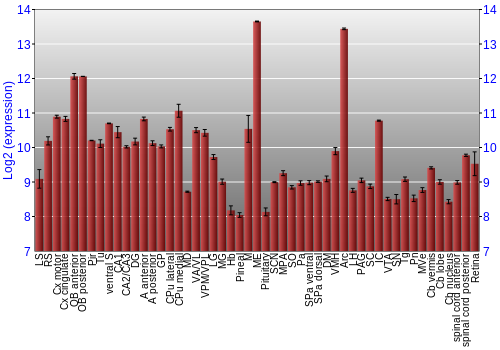 Expression graph