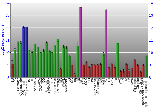 Multi-state expression graph