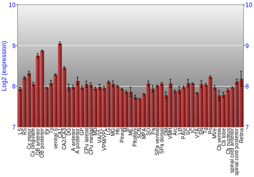 Expression graph
