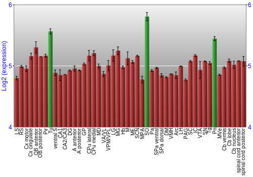 Multi-state expression graph
