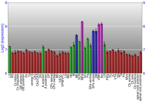Multi-state expression graph