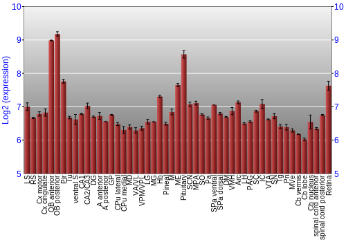 Expression graph