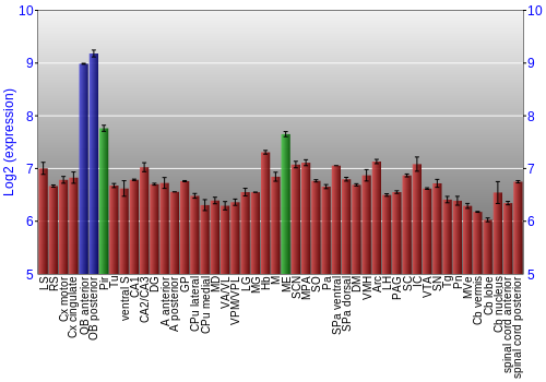 Multi-state expression graph