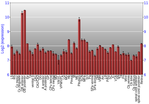 Expression graph