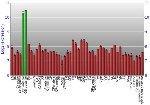 Multi-state expression graph