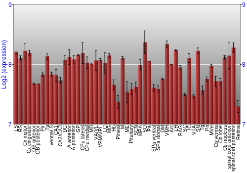 Expression graph