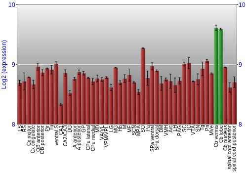 Multi-state expression graph