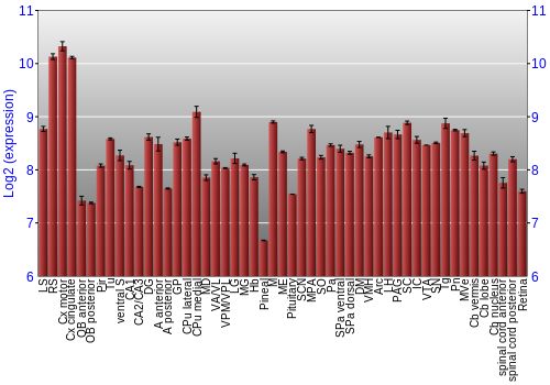 Expression graph