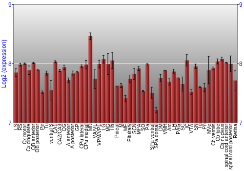 Expression graph