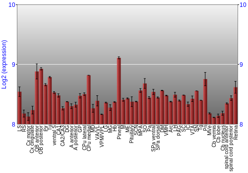 Expression graph