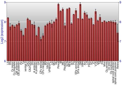 Expression graph