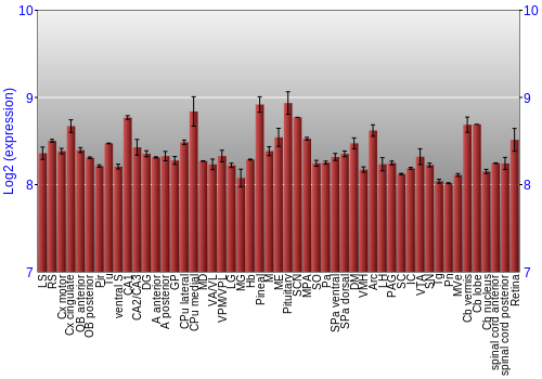 Expression graph