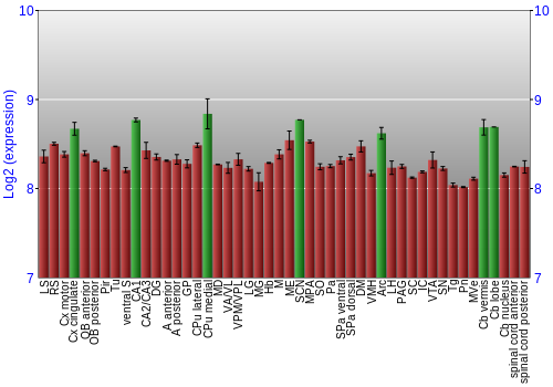 Multi-state expression graph