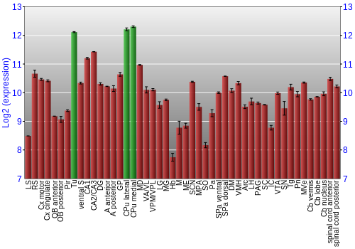 Multi-state expression graph