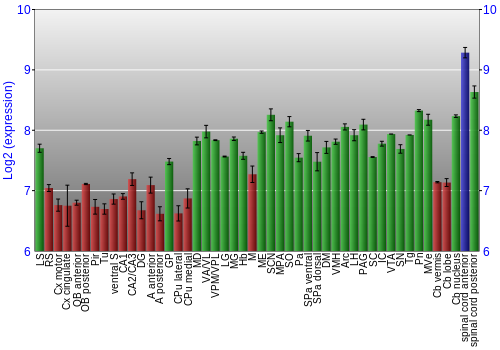 Multi-state expression graph