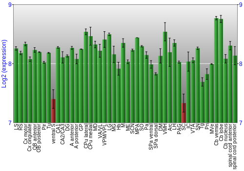 Multi-state expression graph