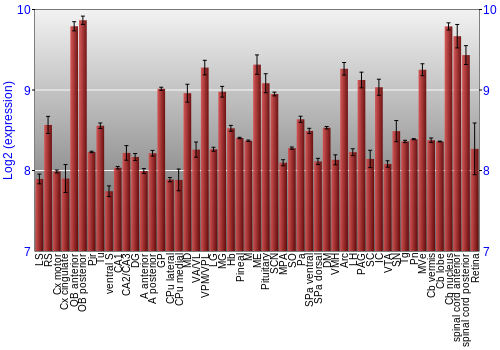 Expression graph