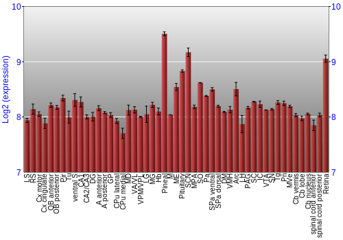Expression graph