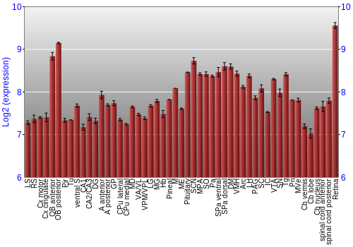 Expression graph