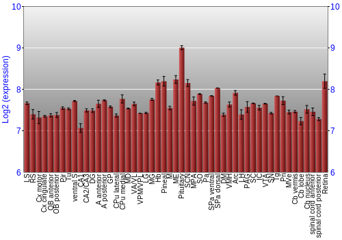 Expression graph