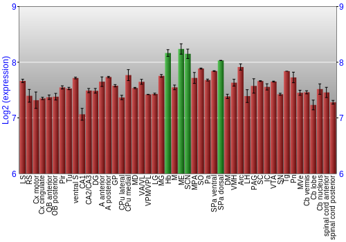 Multi-state expression graph