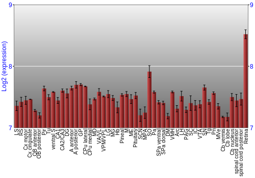 Expression graph