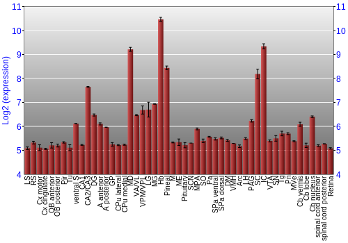 Expression graph