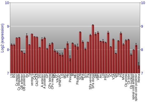 Expression graph