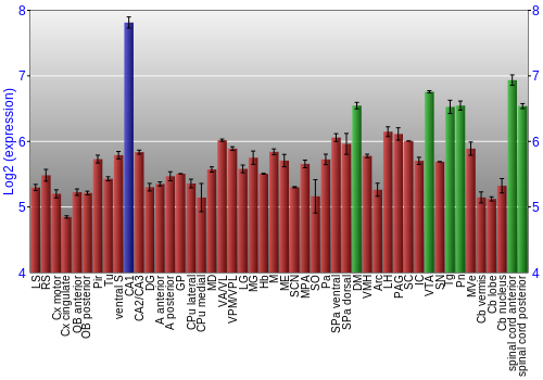 Multi-state expression graph