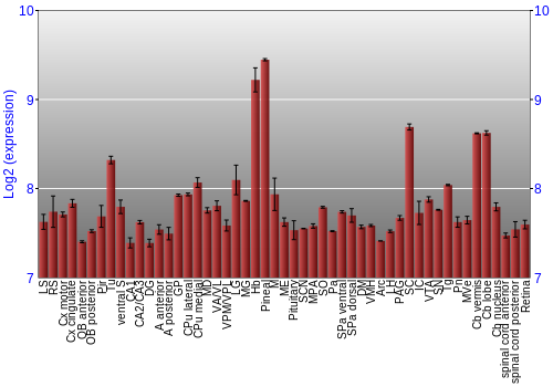 Expression graph