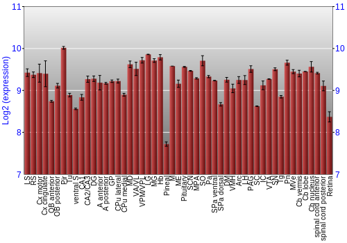 Expression graph