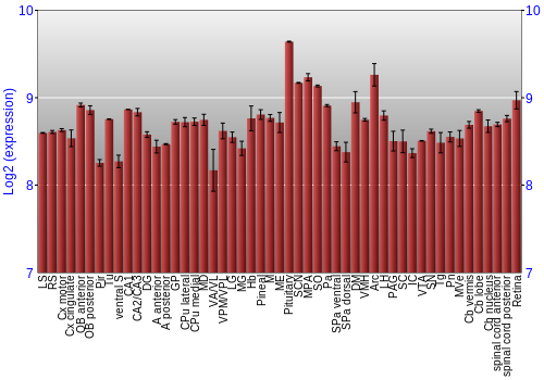 Expression graph