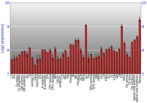 Expression graph