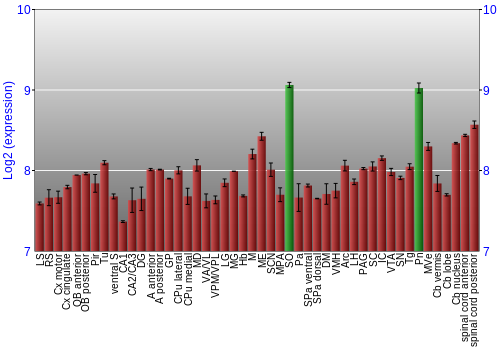 Multi-state expression graph