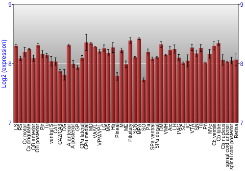 Expression graph