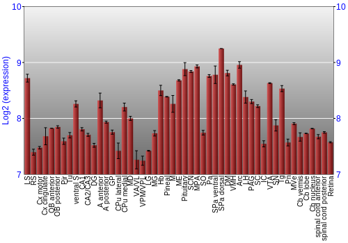 Expression graph