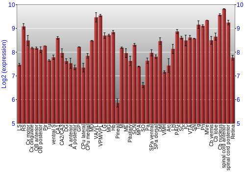 Expression graph