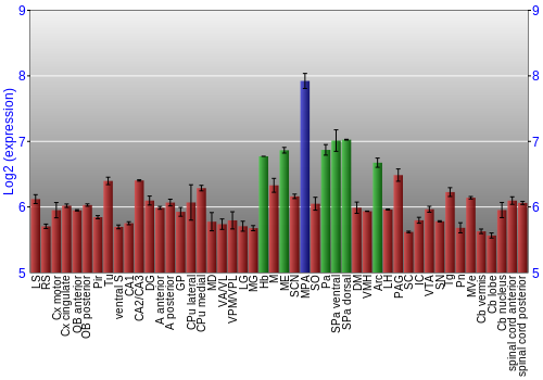 Multi-state expression graph