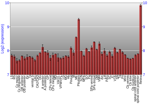 Expression graph