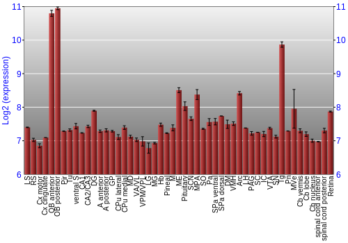 Expression graph