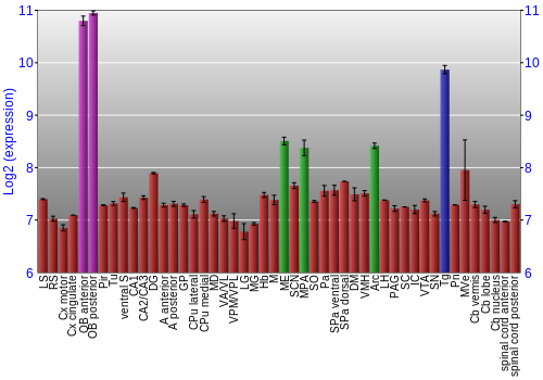Multi-state expression graph