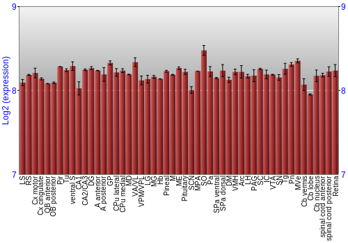Expression graph